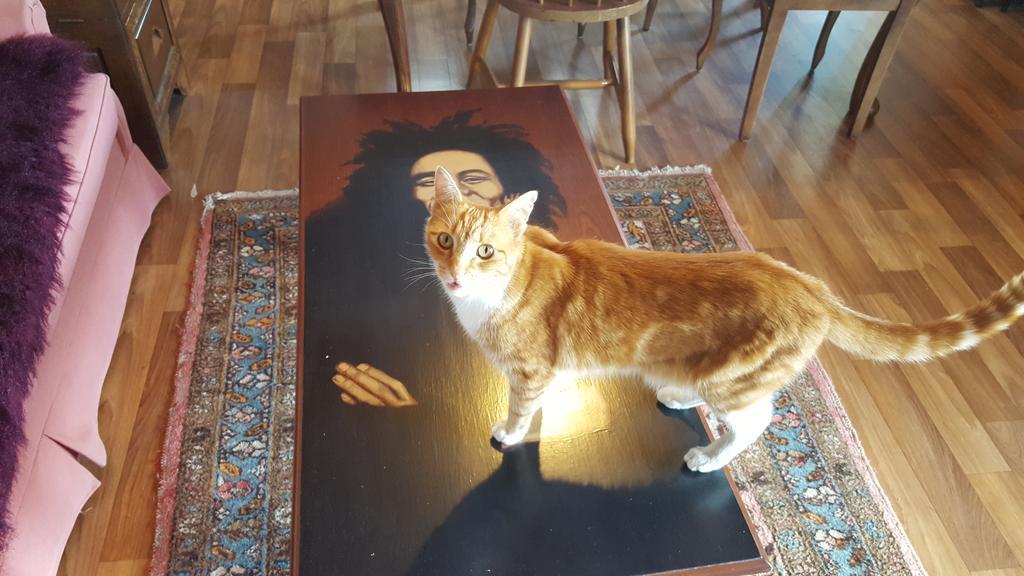 The Bohemian Art Studio Creswick Kültér fotó